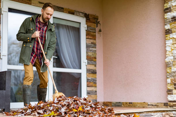 Basement Cleanout Services in Pleasant Hill, MS